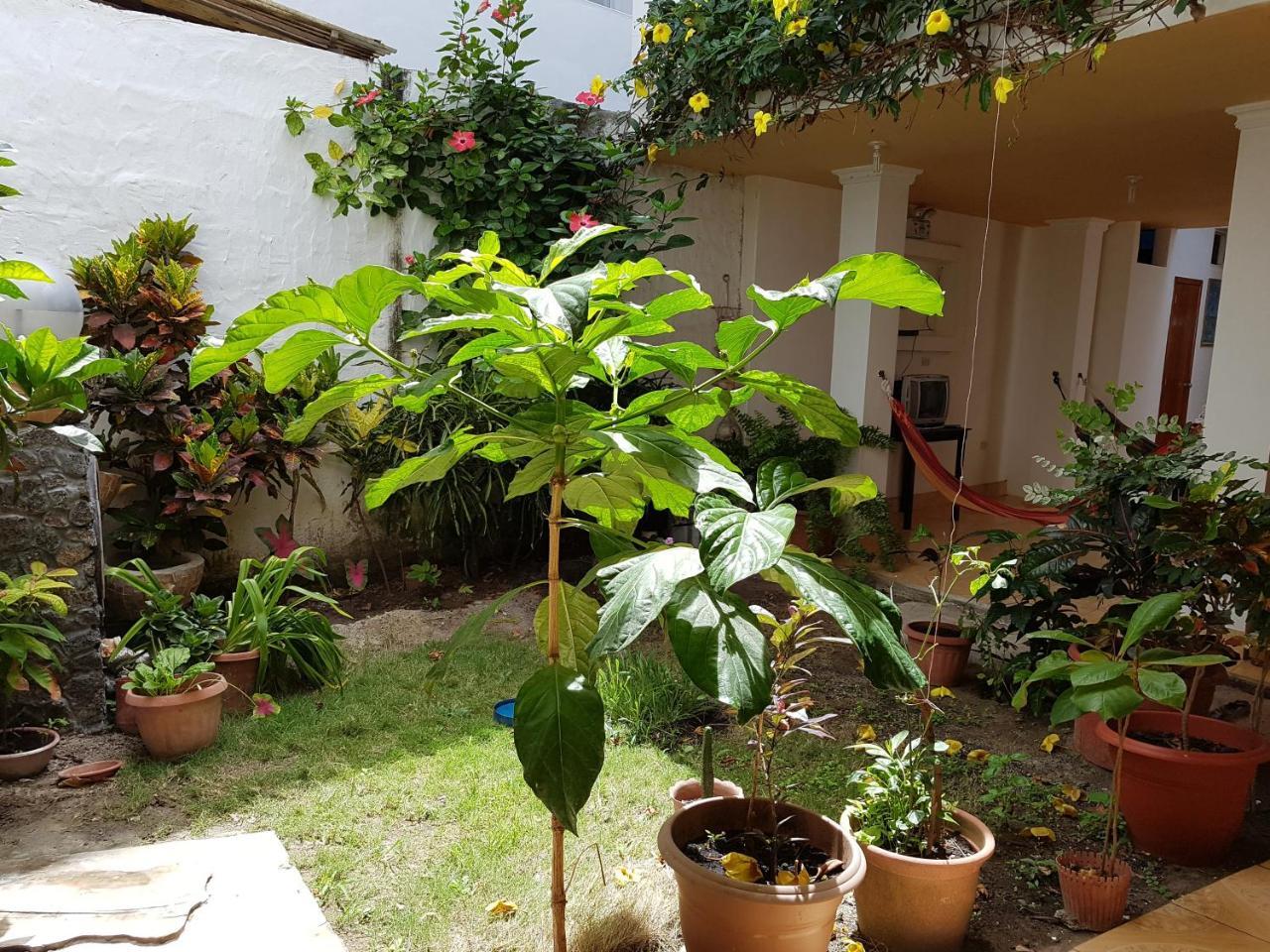 Cerro Azul 3* Puerto Villamil